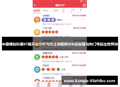 中国福利彩票87期开奖分析与投注策略探讨中奖秘籍与热门号码走势预测